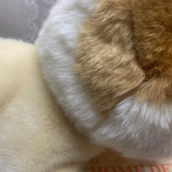 Gund Boo The World's Cutest Dog plush stuffed animal Pomeranian 15" - Picture 4 of 8